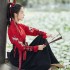 Chinese Traditional Hanfu Clothing for Women Ancient Han Dynasty Princess Dance Dresses Lady Swordsman Stage Cosplay Costume