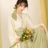 Original Jin Dynasty Improved Hanfu Dresses Women Chinese Hanfu Suit Elegant Big Sleeve Top Light Green Pleated Skirt Daily Dress