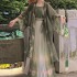 Forest Fairy Hanfu Chinese Improved Hanfu Dresses 3pc/1set Han Fu For Women Dresses Song Dynasty Costumes