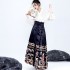 Ming Dynasty Horse Face Skirt Beige Aircraft Sleeve Top for Women Black Blue Red Green Chinese Hanfu 2PCS Sets