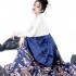 Ming Dynasty Horse Face Skirt Beige Aircraft Sleeve Top for Women Black Blue Red Green Chinese Hanfu 2PCS Sets