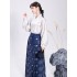 Song Aircraft Sleeve Ming Horse Face Skirt Original Improved Hanfu Dresses Women Autumn Winter Hanfu Costume