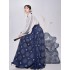 Song Aircraft Sleeve Ming Horse Face Skirt Original Improved Hanfu Dresses Women Autumn Winter Hanfu Costume